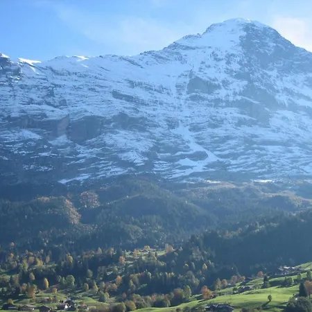 Gletschertal Appartement *